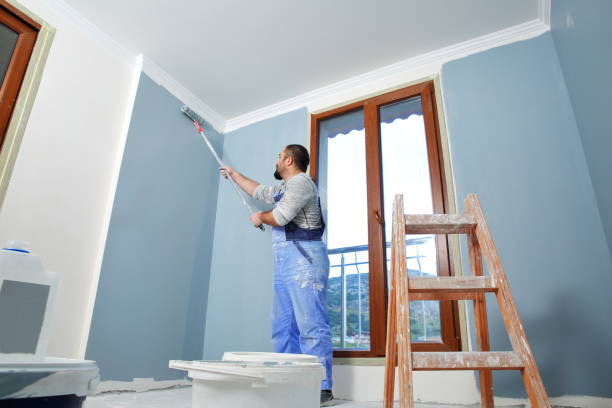 Best Drywall Repair  in Walnut, IL